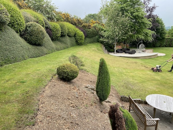 TurfPlus Lawn Treatment