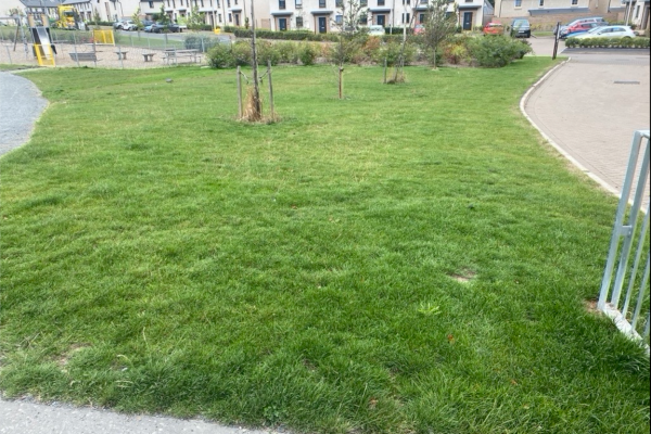 House Builder Lawn Treatment