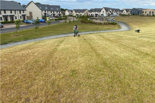 Quote For Lawn Treatment