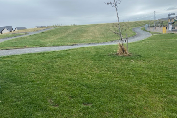 House Builder Lawn Consultants