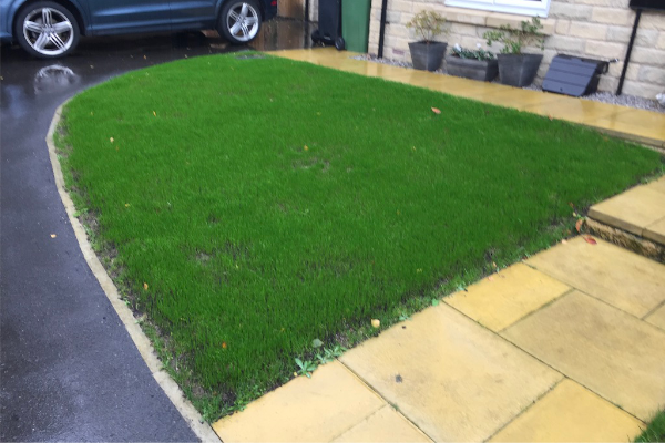 Lawn Improvement for Home Owners