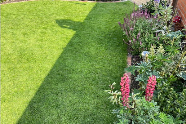 Residential Lawn Treatments