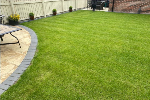 Lawn Treatment For Pests