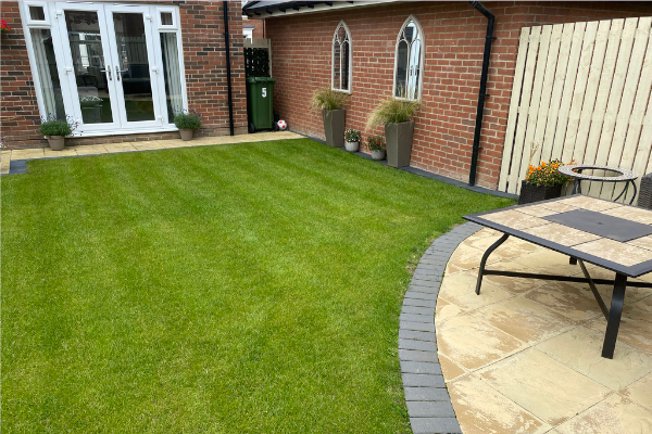 Lawn Treatment Pests