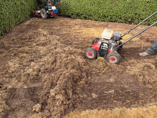 Lawn Makeover Begins With Scarification