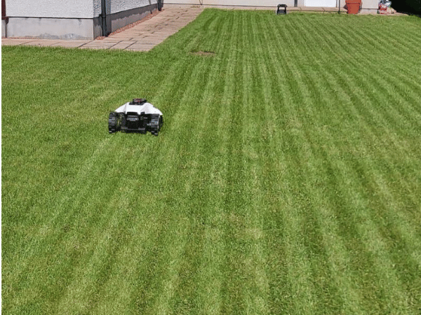 After Lawn Treatment