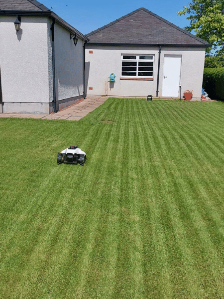 After Lawn Renovation