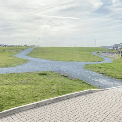 Common area lawn needs maintenance.