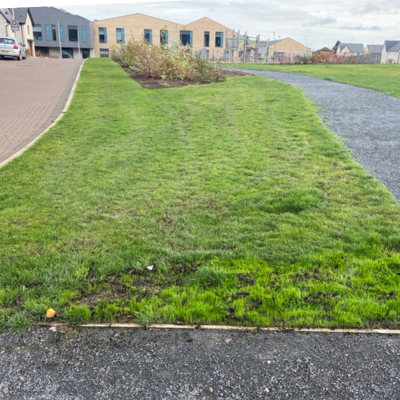 Housing Estate Lawn After Improvement