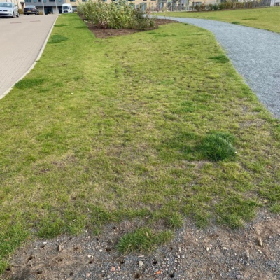 Housing Estate Lawn Before Improvement
