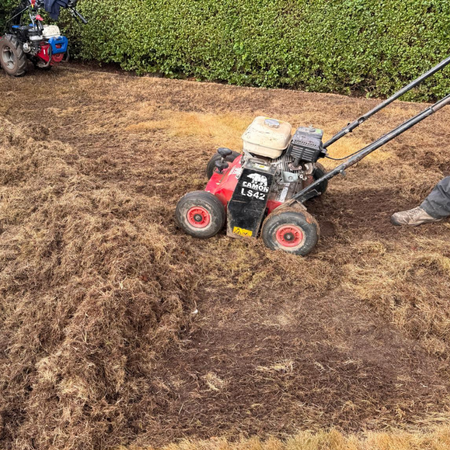 A Lawn Was Under This