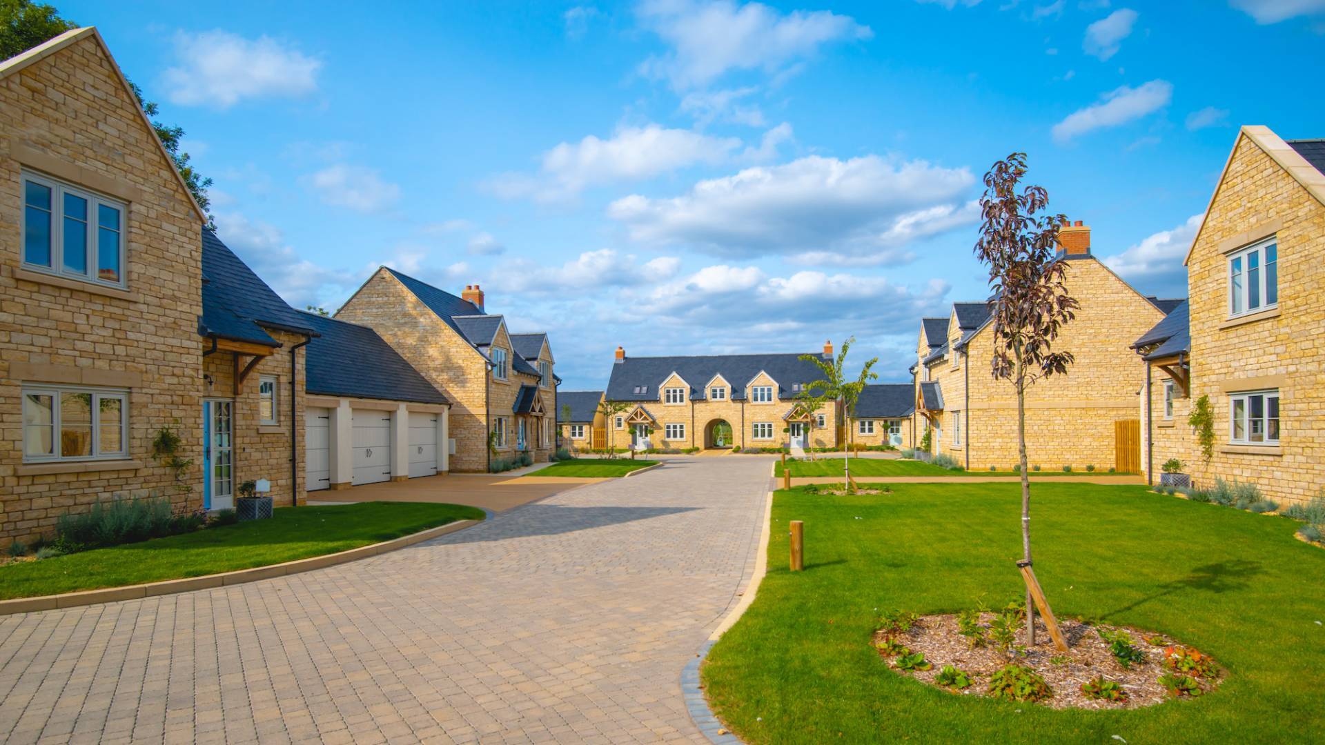 TurfPlus Lawn Consultants