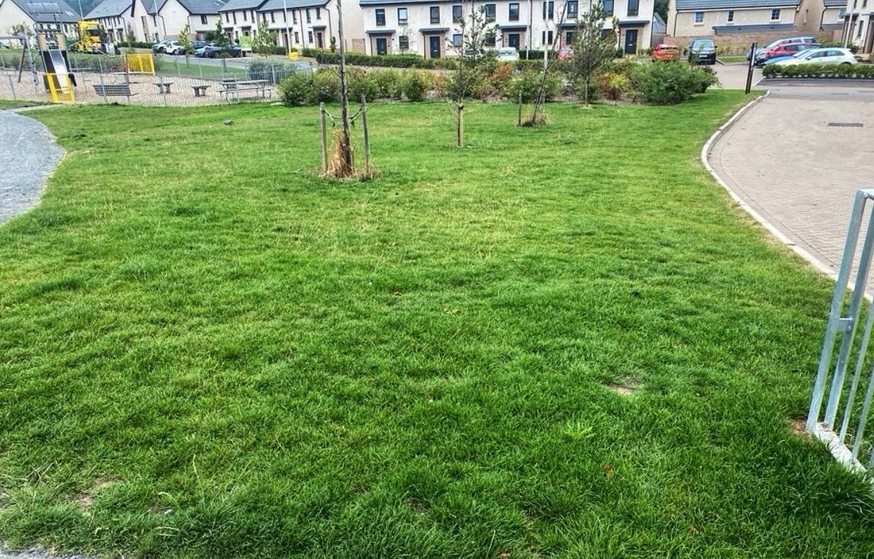 TurfPlus Lawn Consultants